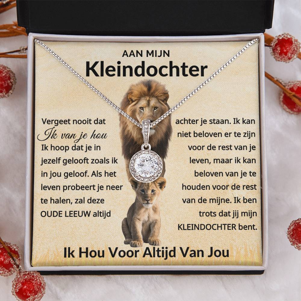 Aan Mijn Kleindochtter - Vergeet Noot dat ik van je Hou - 14k Witgoud Cirkel ketting