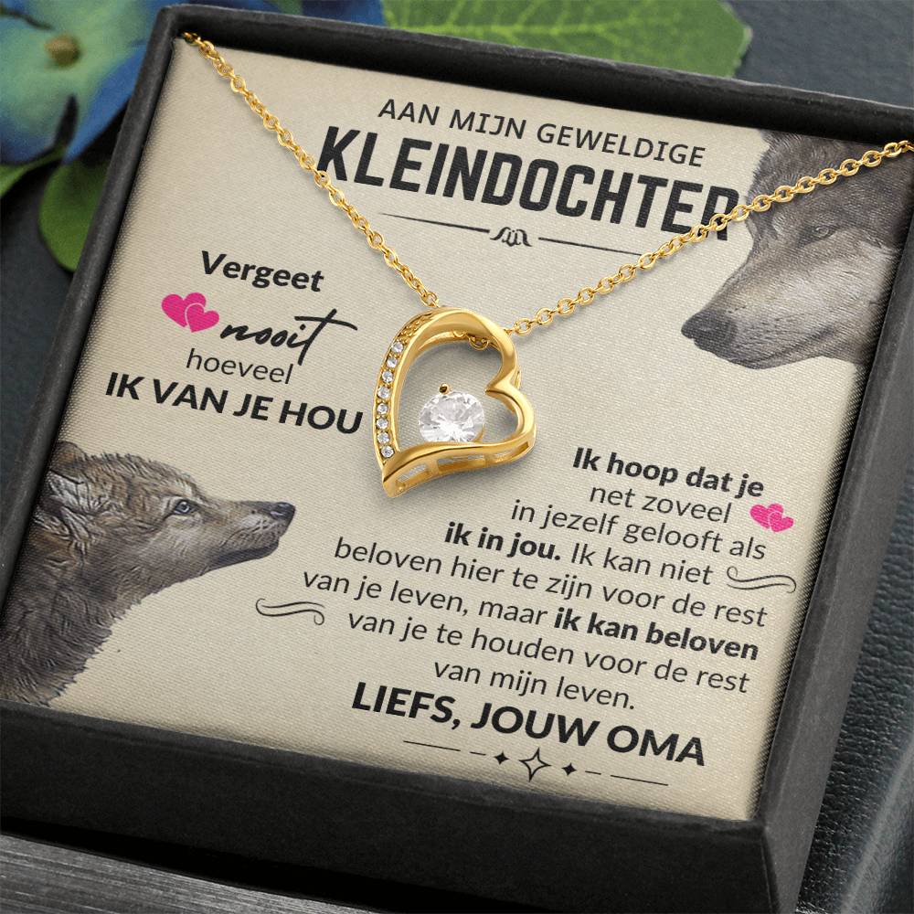 Aan Mijn Kleindochter - Hart ketting - Wolvin